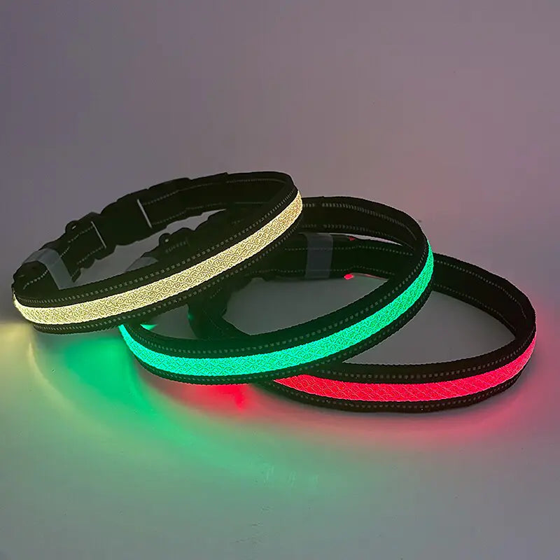 Dog LED Light Up Collar