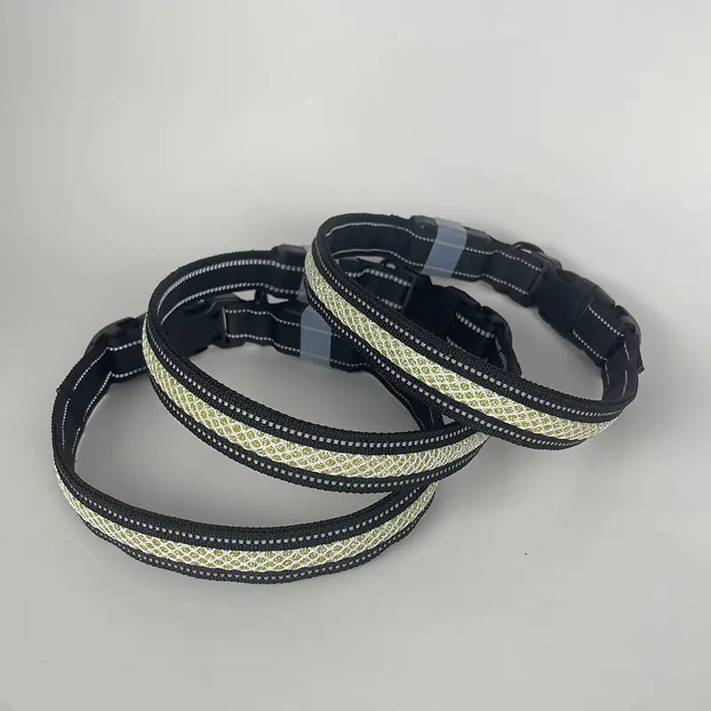 Dog LED Light Up Collar