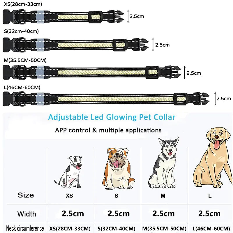 Dog LED Light Up Collar