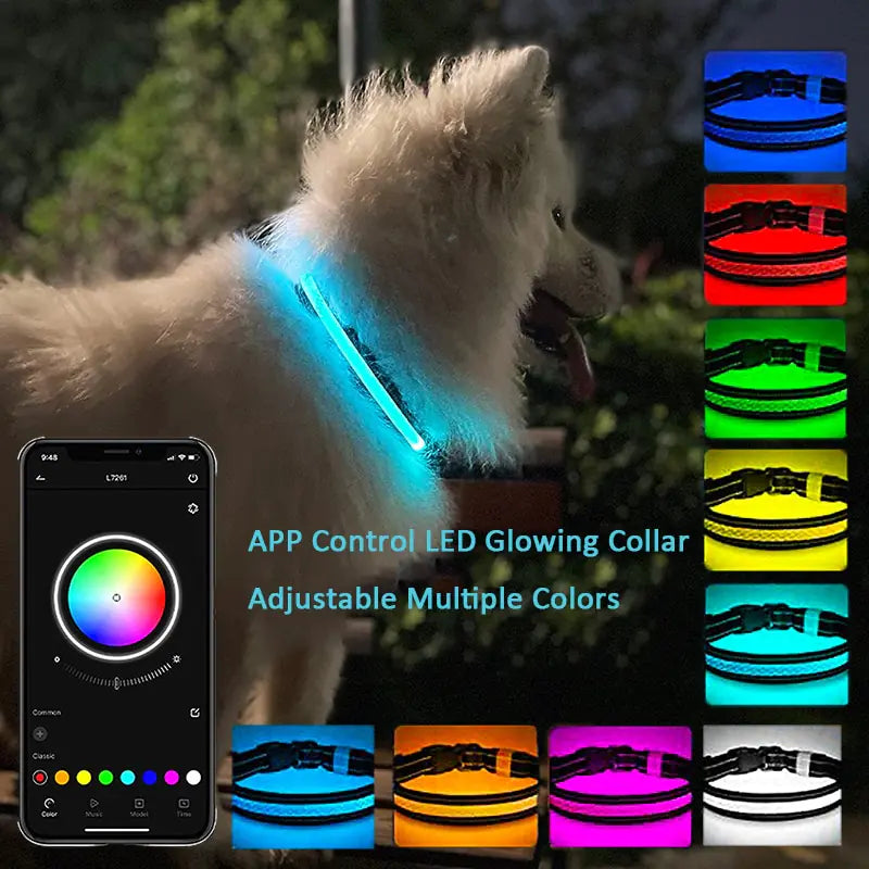 Dog LED Light Up Collar