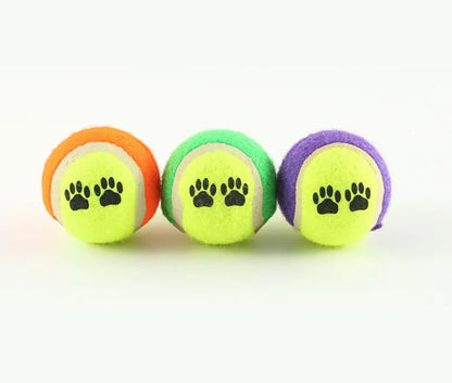 Outdoor Dog Training Throw Toy