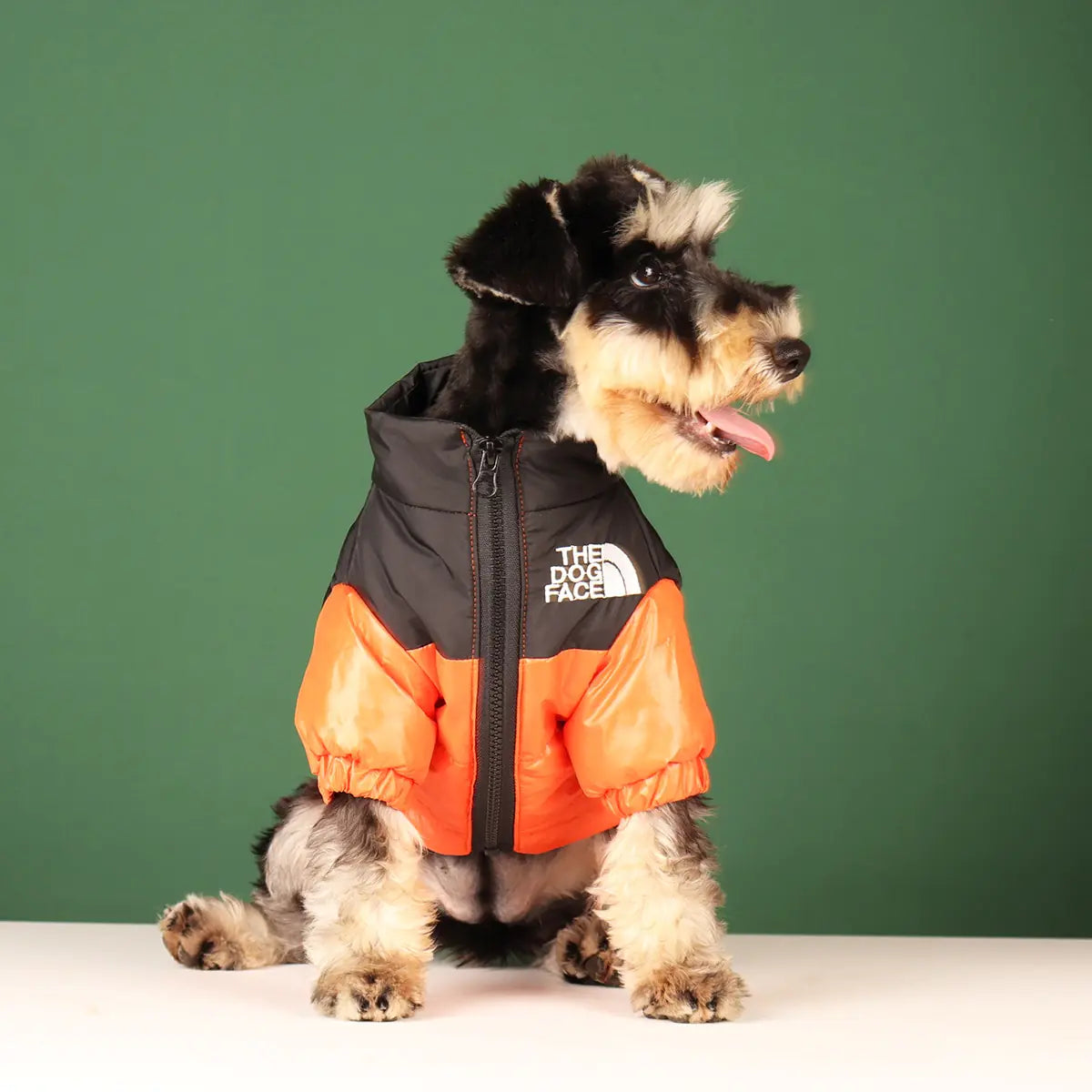 Warm Windproof Winter Dog Clothes