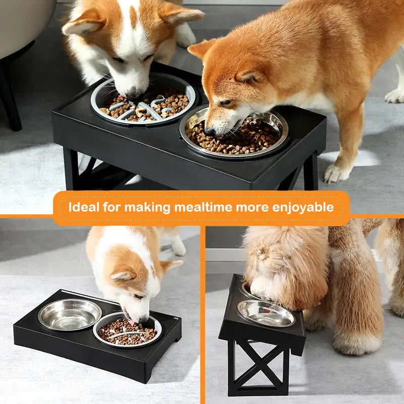 Mess-Free Dog Bowl