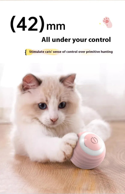 Smart Interactive Dog Toy Ball