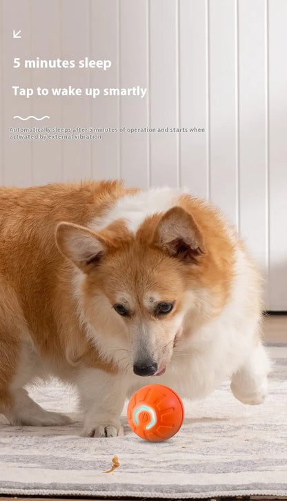 Smart Interactive Dog Toy Ball