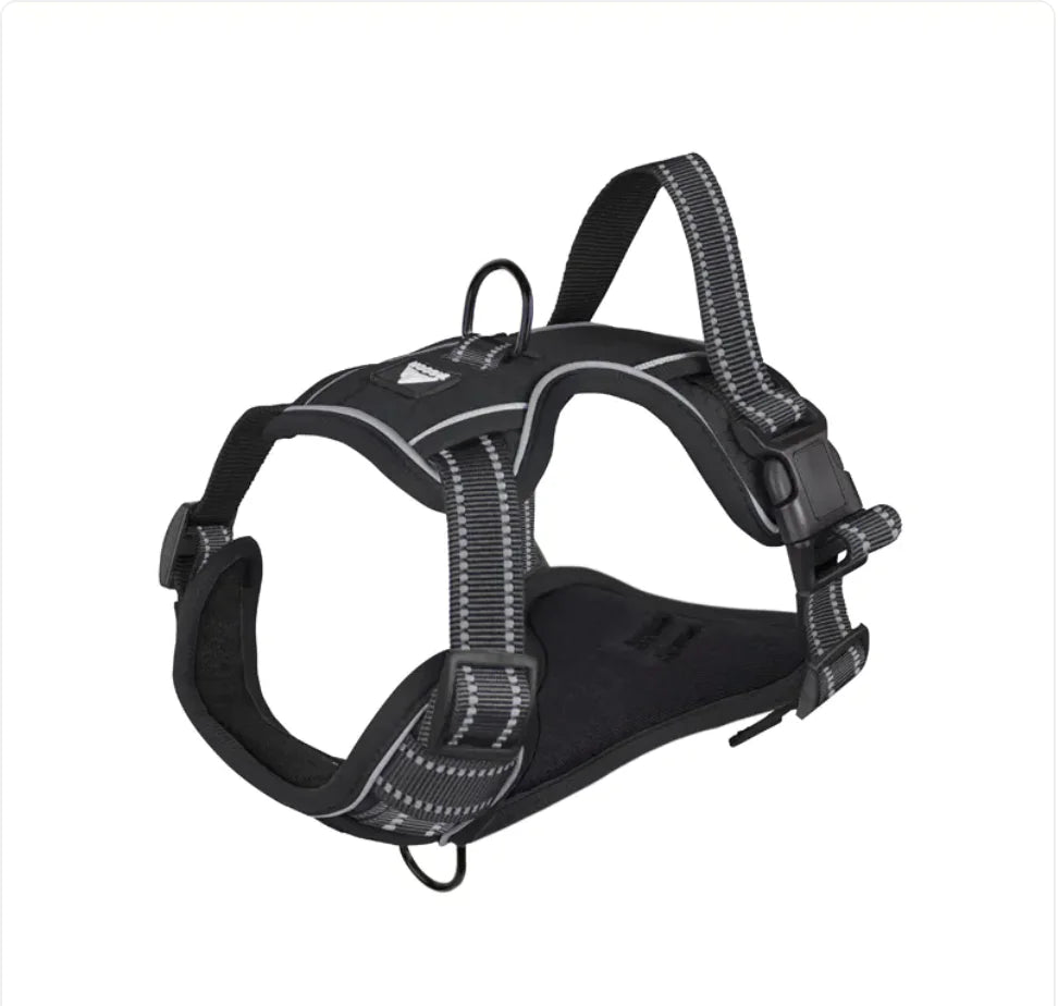 Reflective Dog Harness with Leash