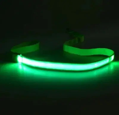 LED Dog Leash Rope