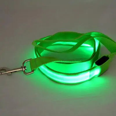 Glow In Dark Dog Leash