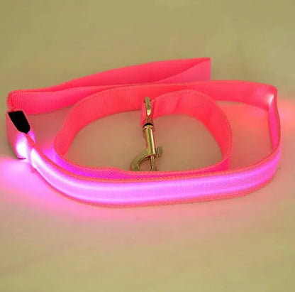 LED Dog Leash Rope