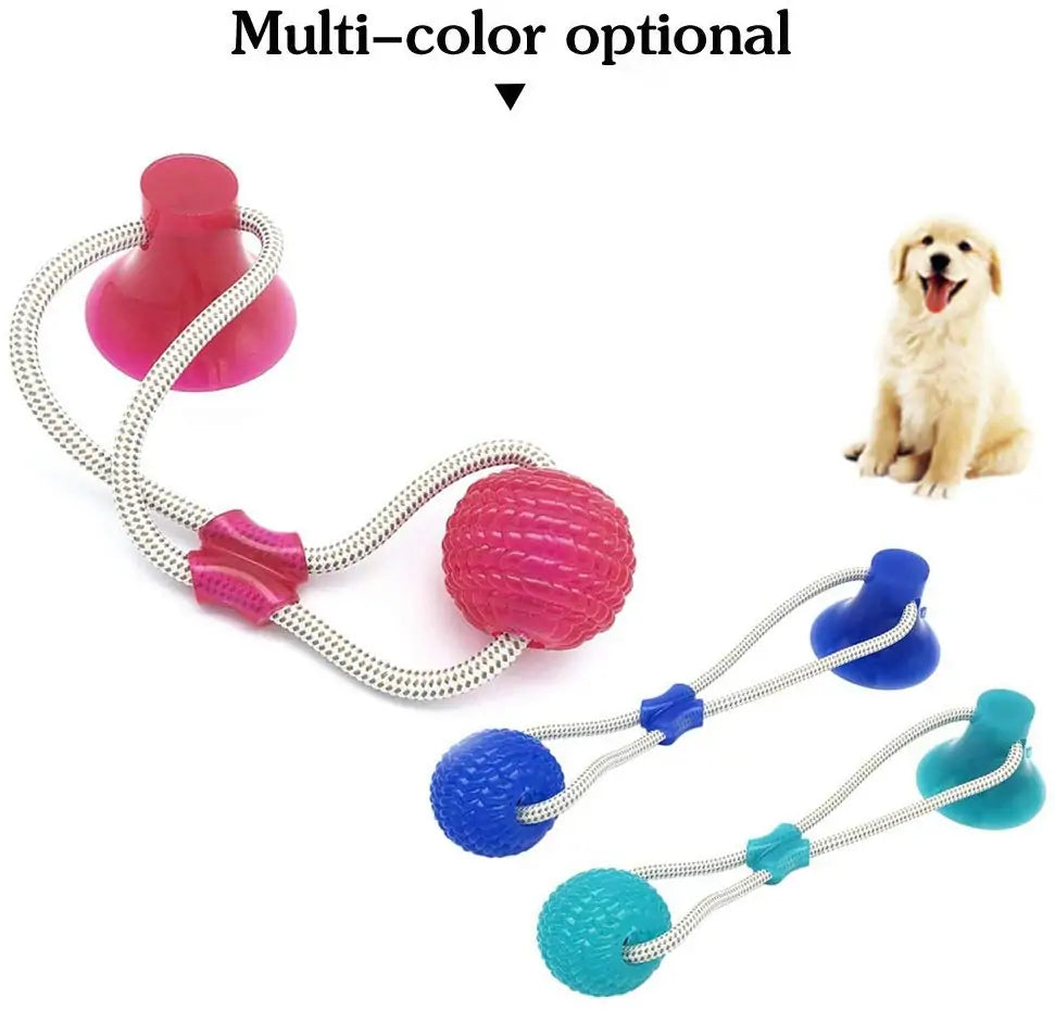 Suction Cup Dog Push Ball Toy