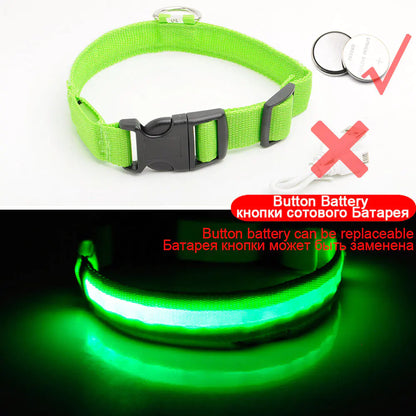 Led Dog Collar Anti-Lost Collar