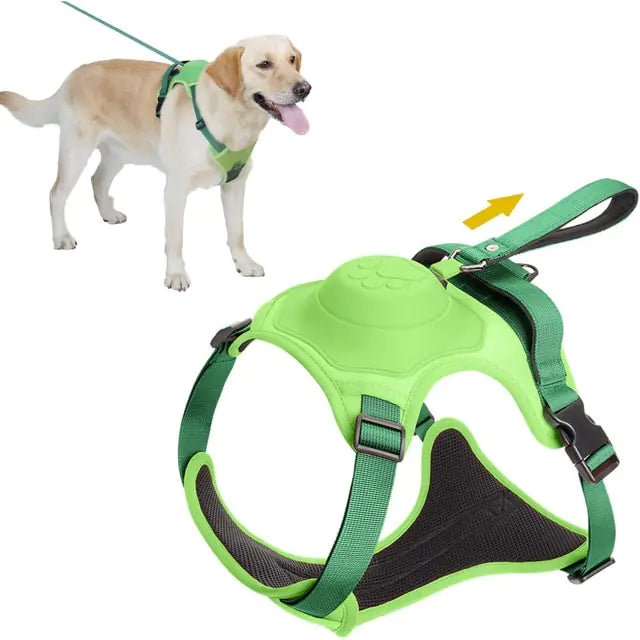 All-in-One Dog Harness