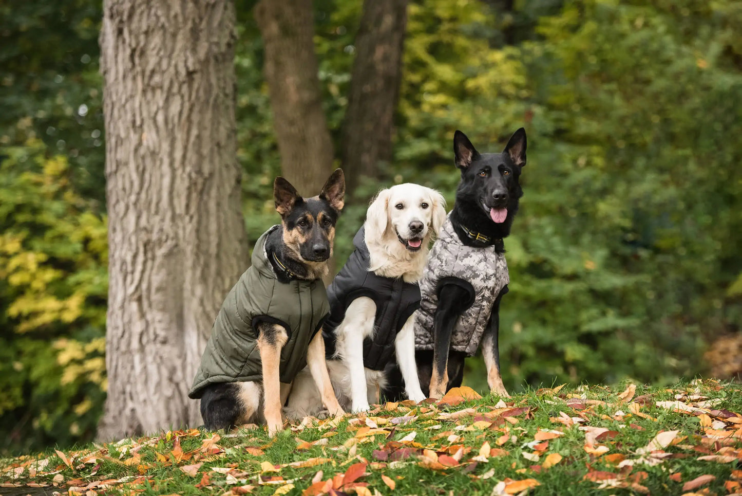 Dark Camo Army Dog Parka