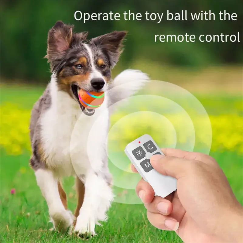 Smart LED Flashing Dog Toy Ball