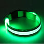 Glow In The Dark Dog Collar