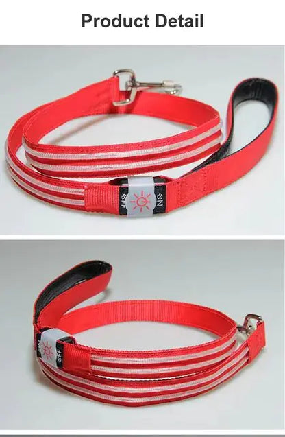 LED Flashing Waterproof Dog Leash