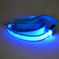 Glow In Dark Dog Leash