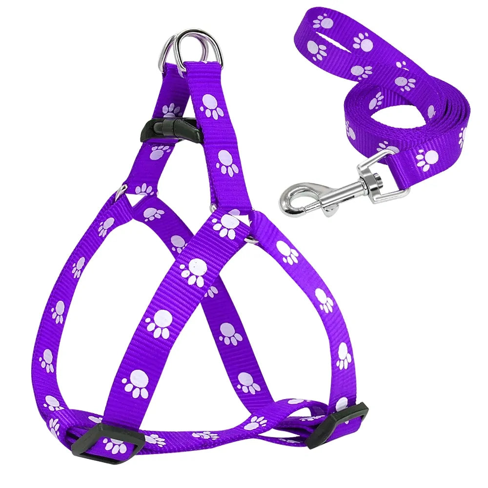 Paw Print Small Dog Harness