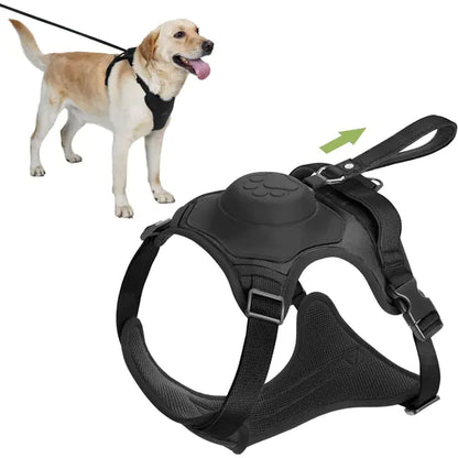 All-in-One Dog Harness