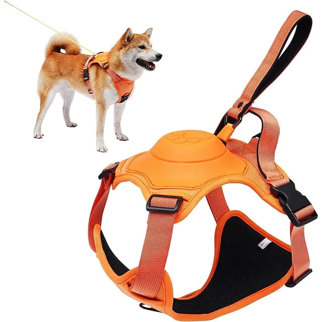 All-in-One Dog Harness