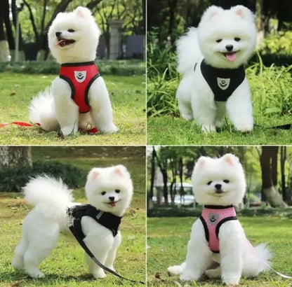 Dog Harness