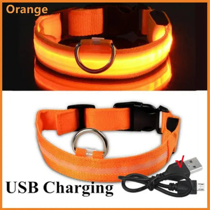 Glowing Dog Collar Adjustable Flashing