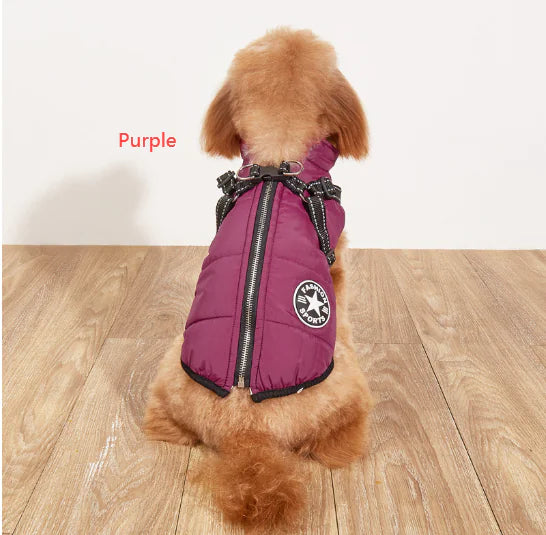 Winter Dog Jacket