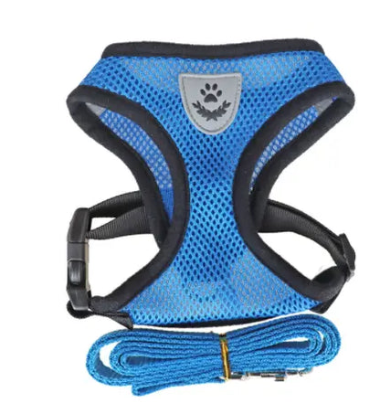 Dog Harness