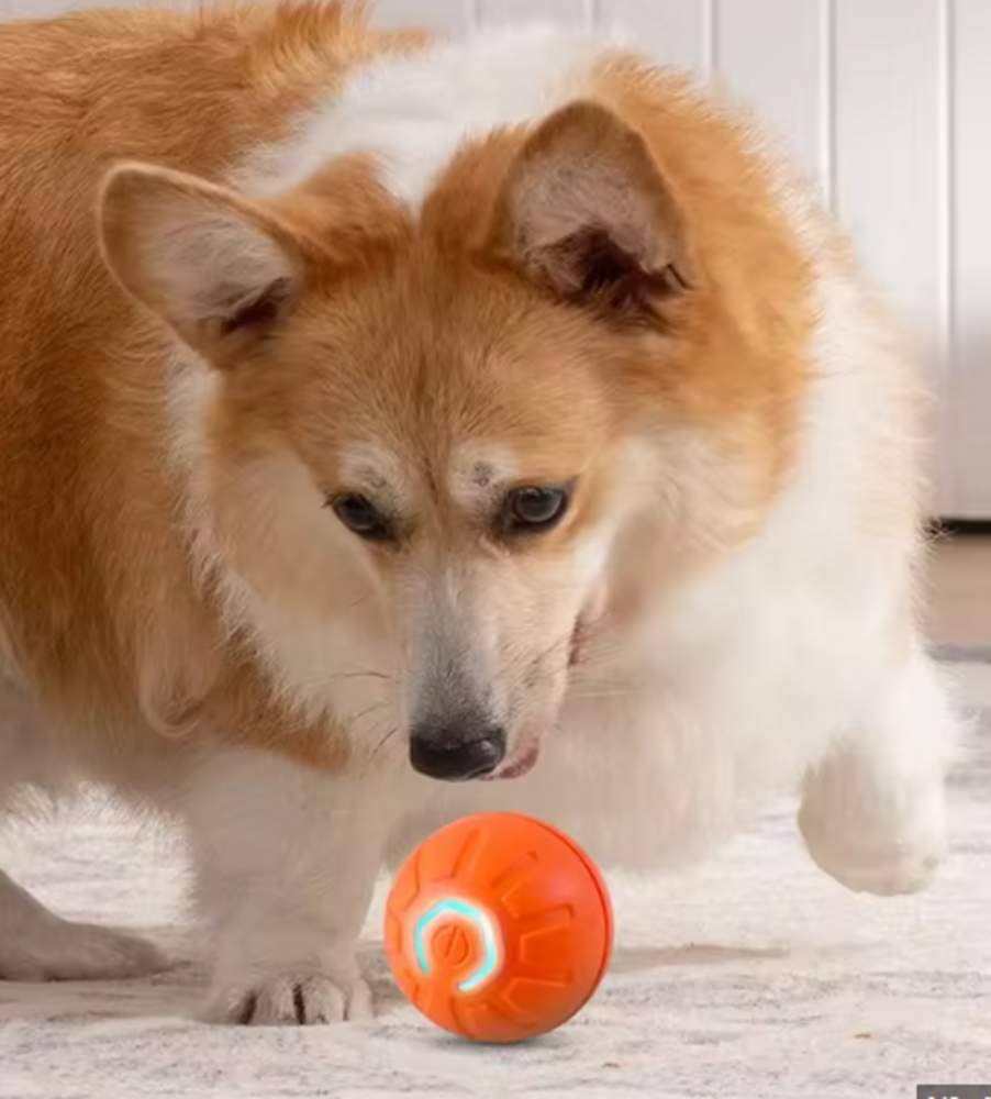 Smart Interactive Dog Toy Ball