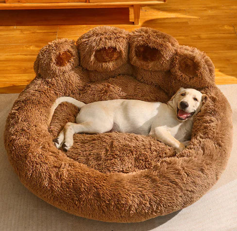 Cozy and Comfy Paw Dog Bed