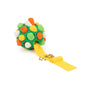 Dog Sniffing Ball Training Toy