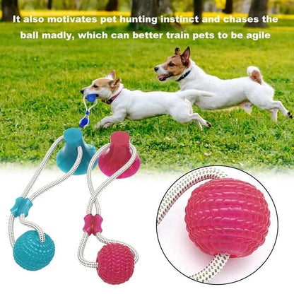 Dog Chew Toy With Suction Cup