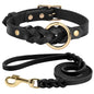 Dog Collar And Leash Set