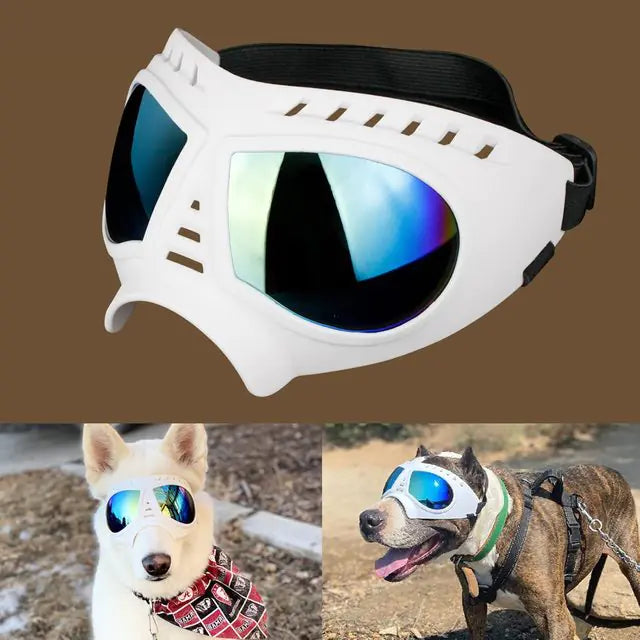 Dog Sunglass Windproof Summer Goggles Protection