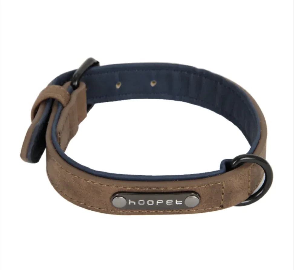 Adjustable Dog Collar & Leash Set