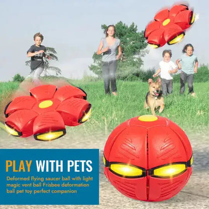 Pet Flying Saucer Ball Toy