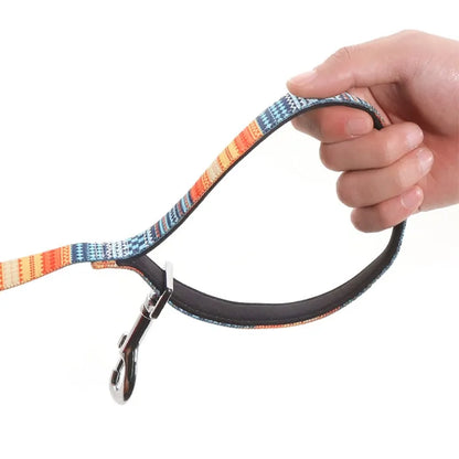 Pet Dog Leash