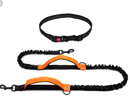 Dog Leash with Zipper Bag