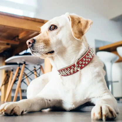 Cone Spikes Dog Collar