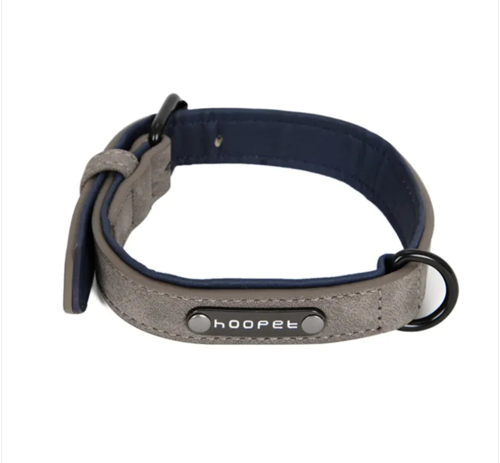 Adjustable Dog Collar & Leash Set