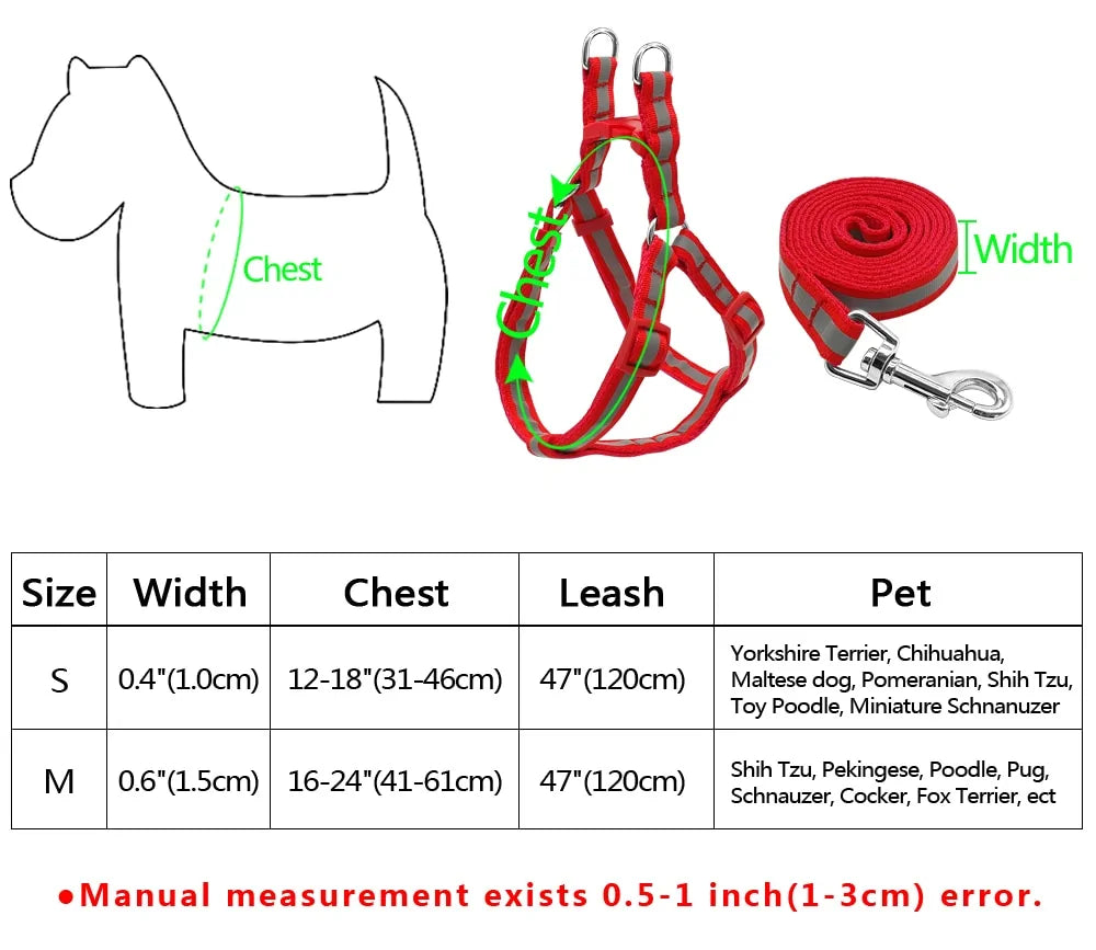 Dog Leash Set