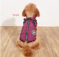 Winter Dog Jacket