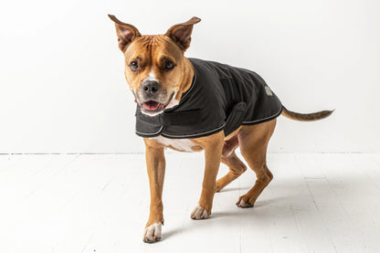 Dog Blanket Jacket