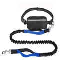 Dog Leash with Zipper Bag