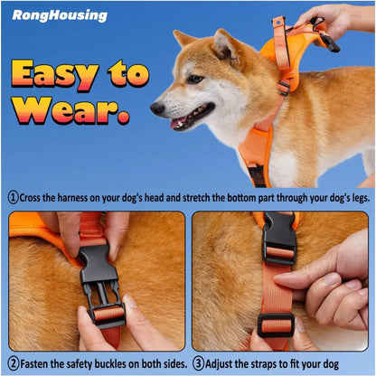 Dog Harness and Retractable Leash Set