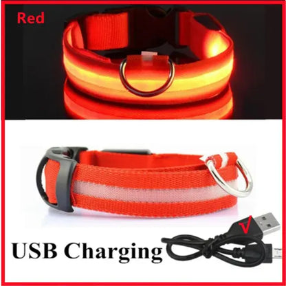 Glowing Dog Collar Adjustable Flashing