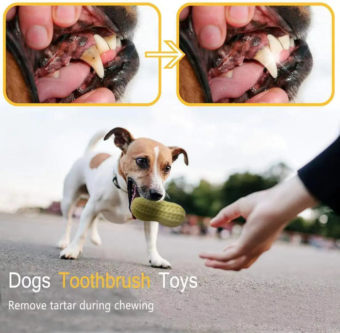 Fun Dog Squeaky Chew Toy