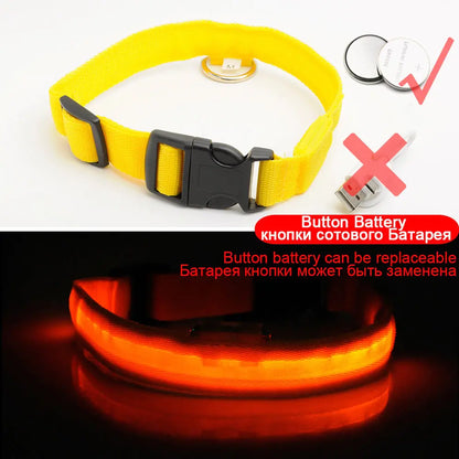 Led Dog Collar Anti-Lost Collar