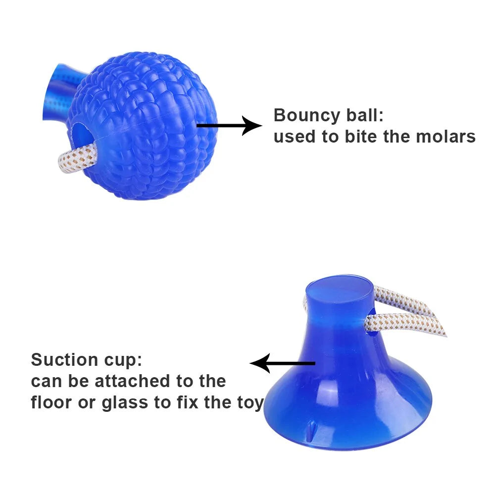 Dog Chew Toy With Suction Cup