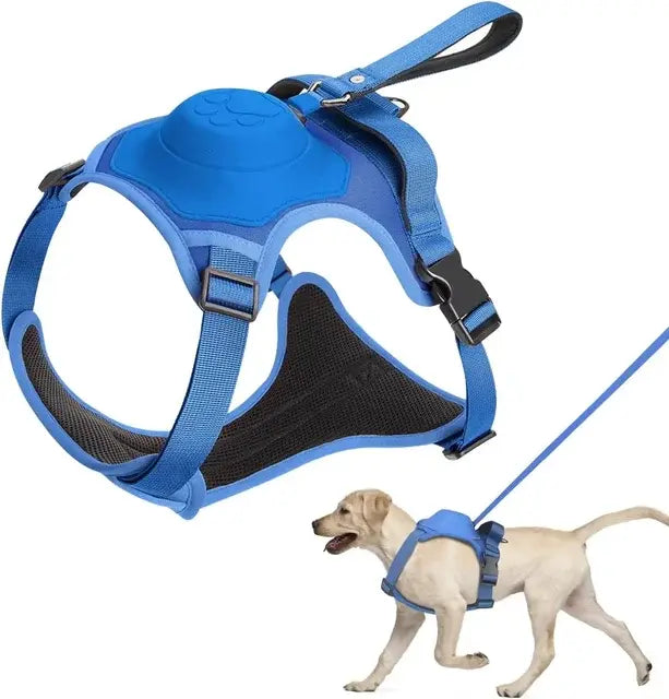 Dog Harness and Retractable Leash Set